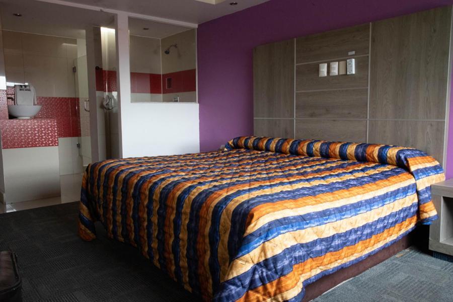 Hotel Rossel Plaza 멕시코 시 외부 사진